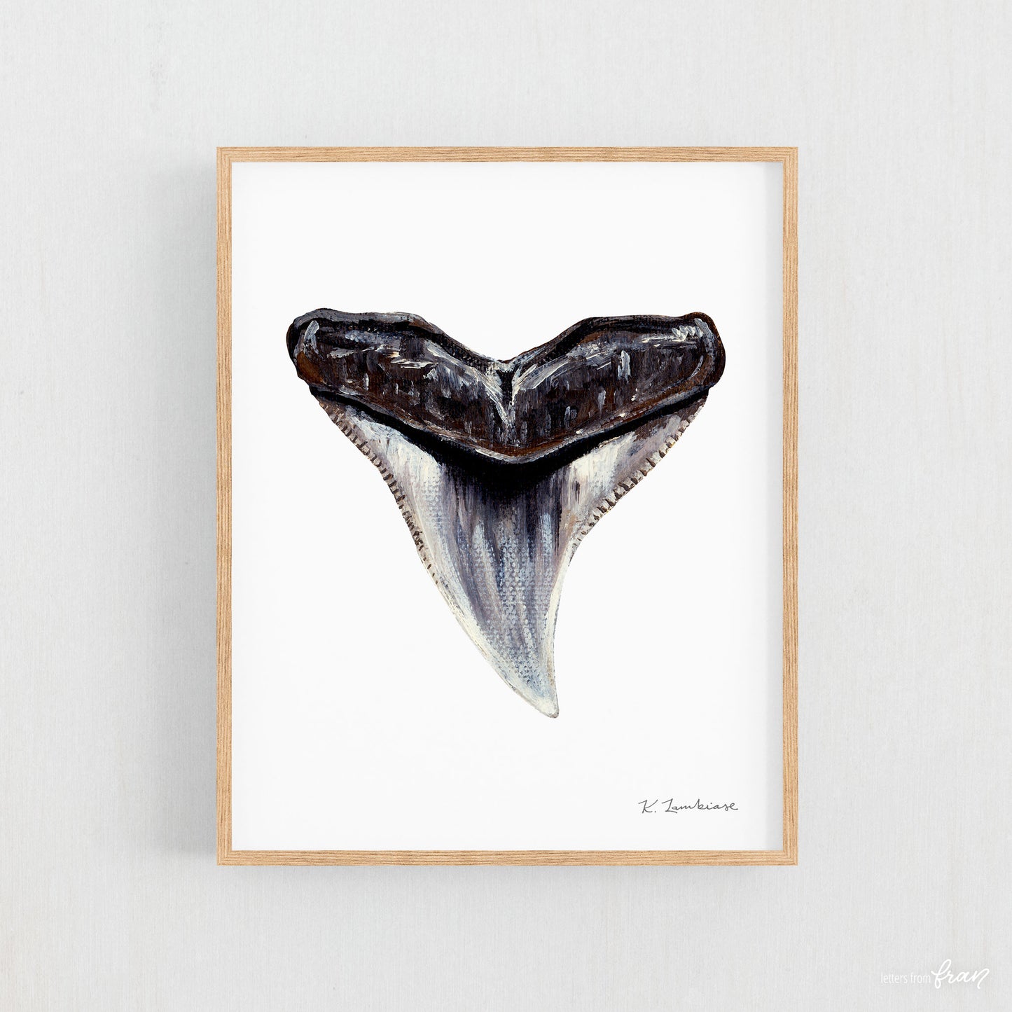Bull Shark Tooth - Print
