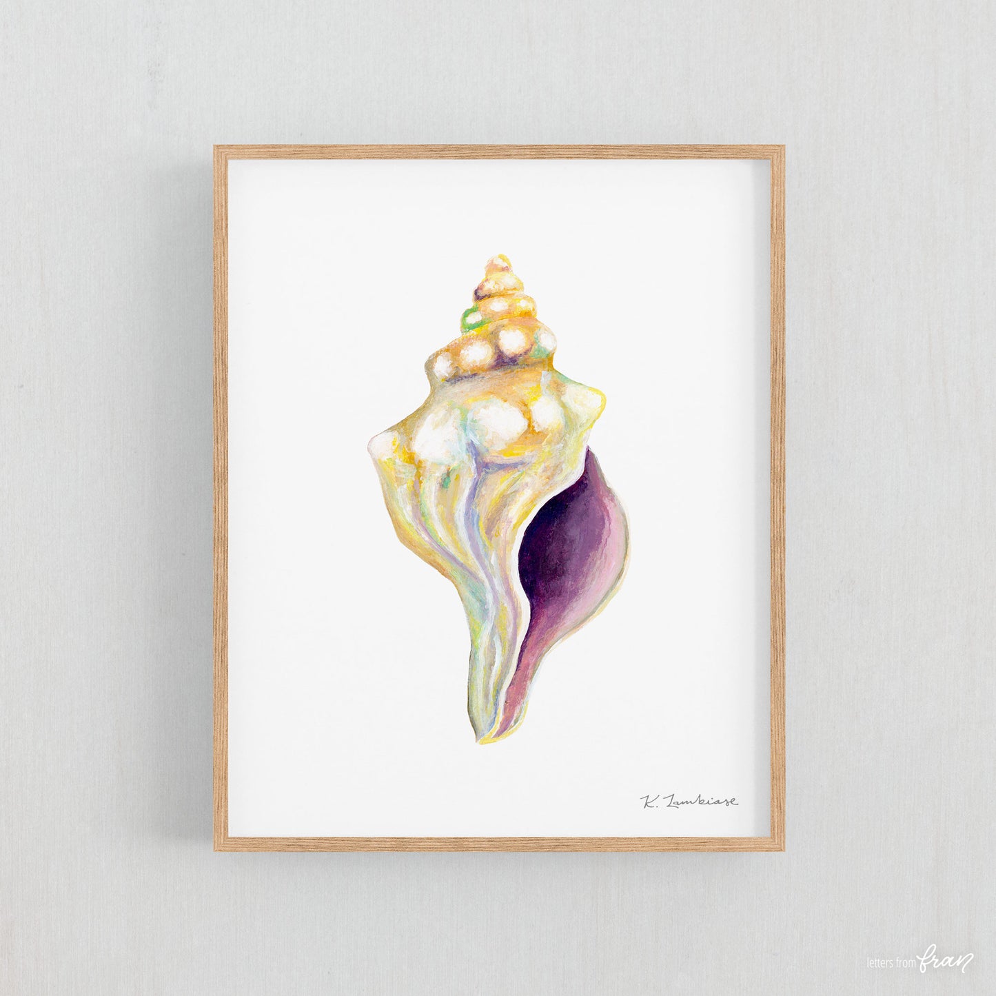 Conch Shell - Print