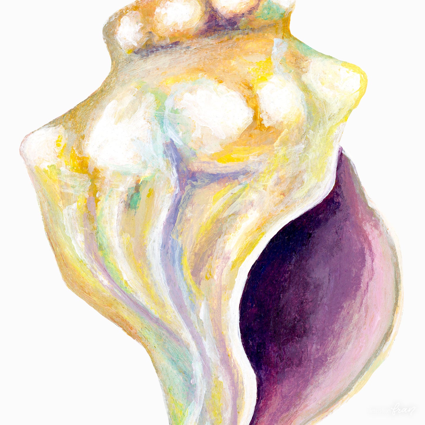 Conch Shell - Print