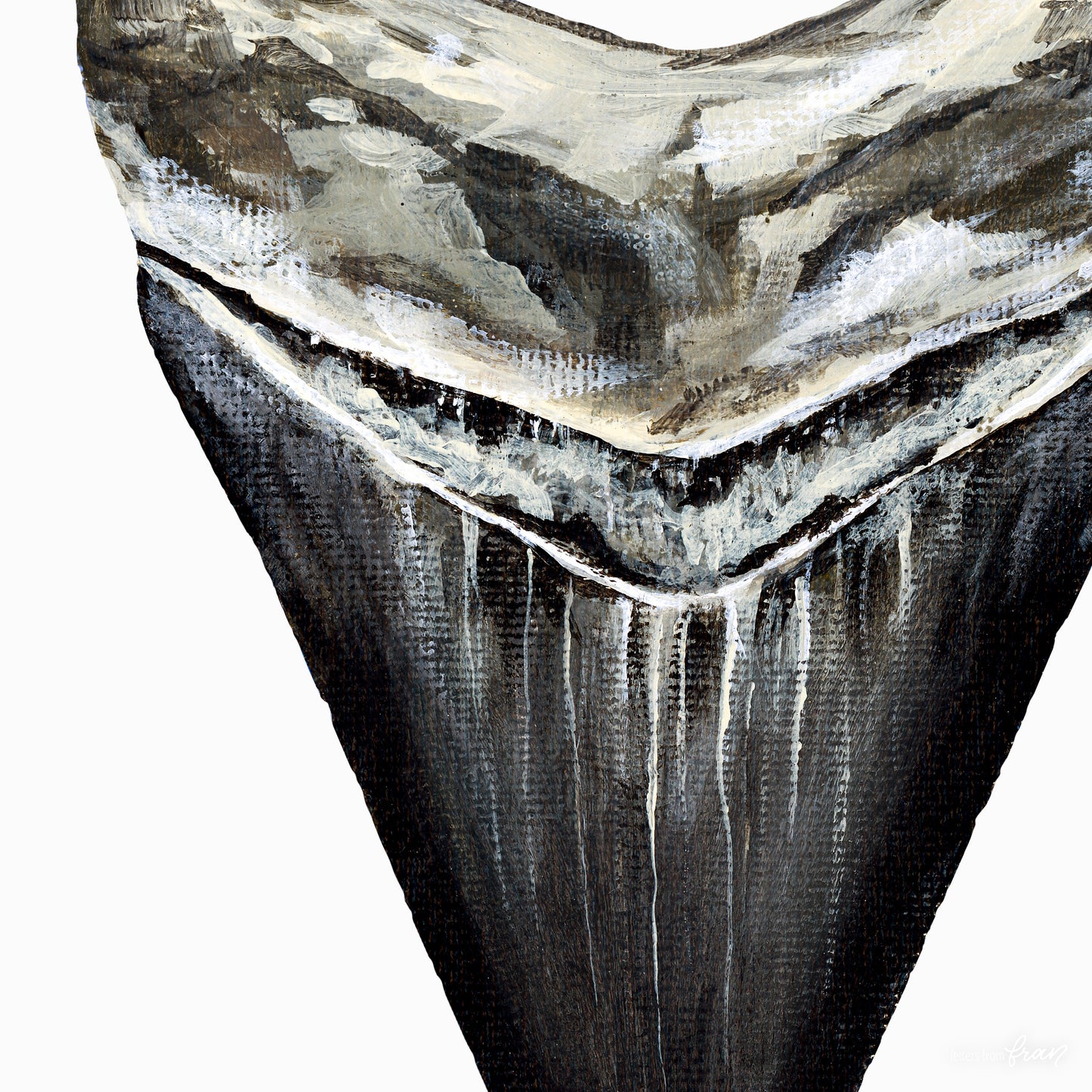 Megalodon Shark Tooth - Print