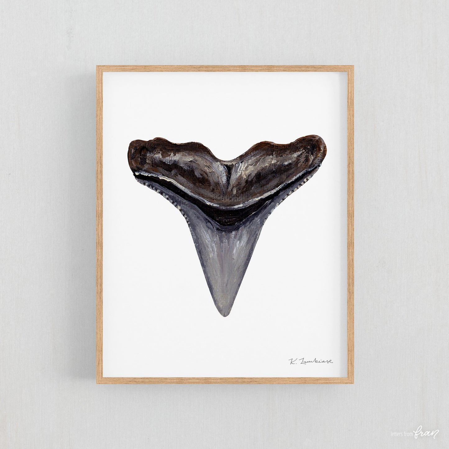Hammerhead Shark Tooth - Print
