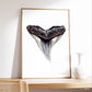 Bull Shark Tooth - Print