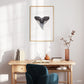 Bull Shark Tooth - Print