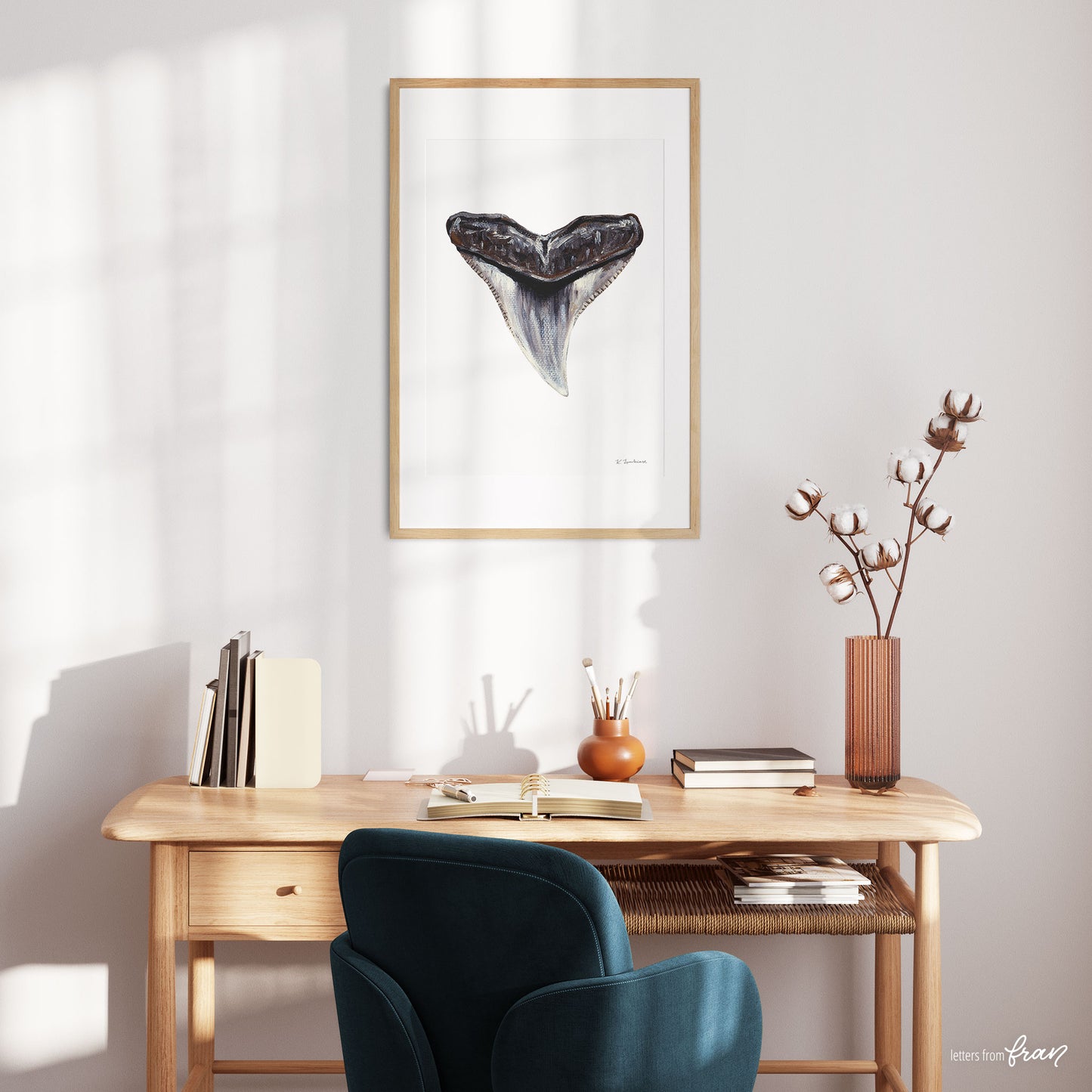 Bull Shark Tooth - Print