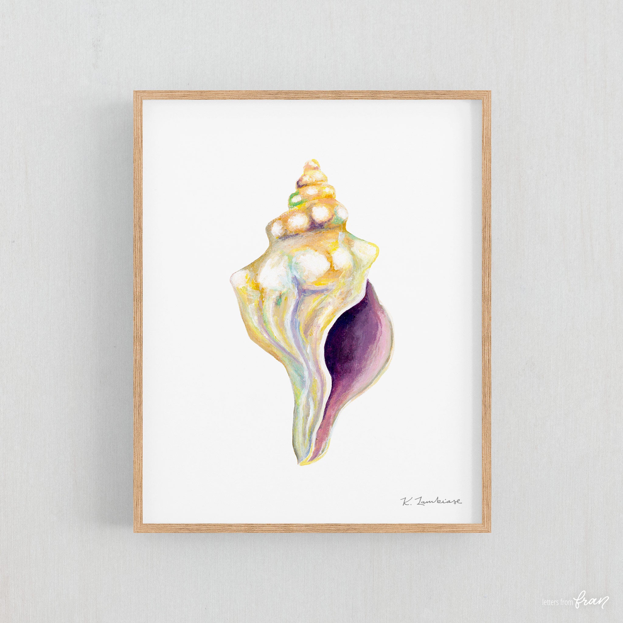 Conch Shell Print Lettersfromfran